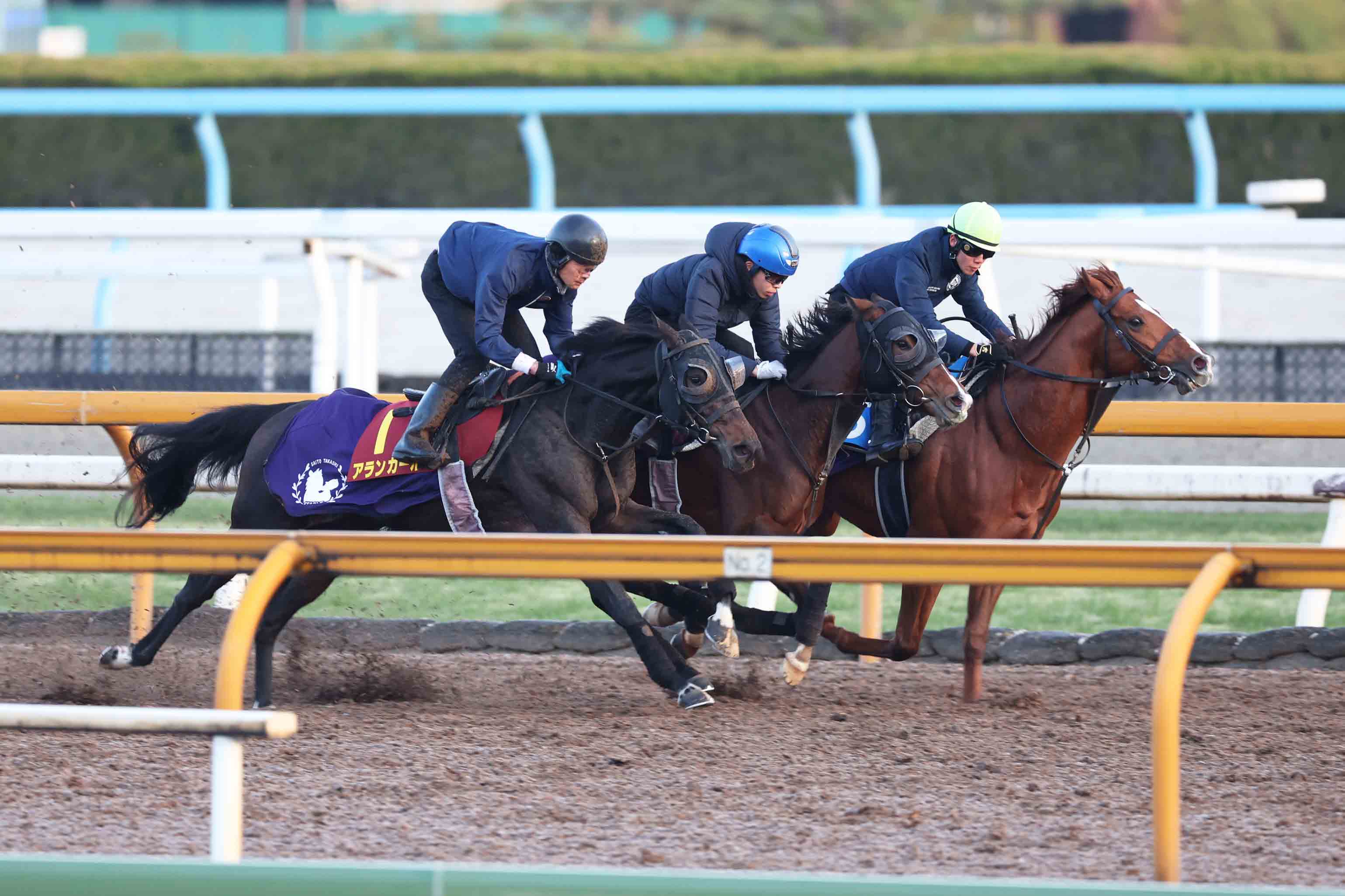 阪神JF追い切り】〝ダービータッグ〟が送り出す良血アランカールは6